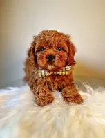 processed/90665de1-d4cc-4e6d-87e6-ddce931c6059/facility/2d04ef45-a623-456e-aa67-2f53786fbe30