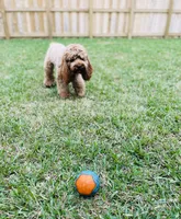 processed/90665de1-d4cc-4e6d-87e6-ddce931c6059/facility/43a87e25-1dbb-4b27-853a-5e848ff948e6