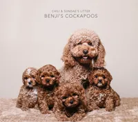 processed/90665de1-d4cc-4e6d-87e6-ddce931c6059/facility/480a4d14-8126-4809-a222-8b29289d5fca