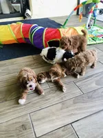 processed/90665de1-d4cc-4e6d-87e6-ddce931c6059/facility/52e2af63-bf4f-450e-84b6-da9f42c96159