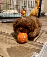 processed/90665de1-d4cc-4e6d-87e6-ddce931c6059/facility/546df4f8-51f8-416d-bd35-c7b4016019cd