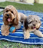 processed/90665de1-d4cc-4e6d-87e6-ddce931c6059/facility/5bd67471-5f65-4ba1-92c5-e16f2010d572