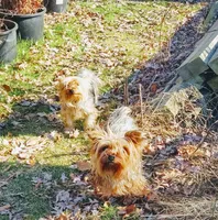 processed/90695491-243e-4c7a-9a02-e9d1cf319ea2/facility/64257022-4eaf-4d58-af92-ec4b87624773