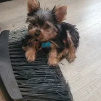 processed/90695491-243e-4c7a-9a02-e9d1cf319ea2/facility/cf8c7855-9bbe-493e-86ac-e1216a250cd0