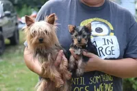 processed/90695491-243e-4c7a-9a02-e9d1cf319ea2/facility/eb26e6bb-2aae-4a96-a4c7-9b221f4b9032