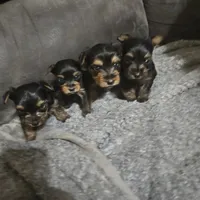 processed/90695491-243e-4c7a-9a02-e9d1cf319ea2/listing/673bde17-b4ad-40a6-ab1f-312f4c40a7bb/10f53c89-7b00-4657-a3e9-cd64e1e5bed6