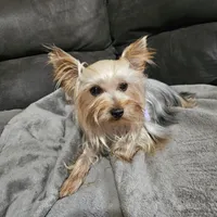 processed/90695491-243e-4c7a-9a02-e9d1cf319ea2/listing/673bde17-b4ad-40a6-ab1f-312f4c40a7bb/12e64971-d205-4815-9d58-4296f7dbdb37