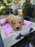 processed/906c01de-222c-4422-9d58-689c3db37b38/listing/13a4eee9-5eae-41e8-adb5-d0ceb69df9de/10045043-a9a1-48f0-849f-94c1e4ddeae7