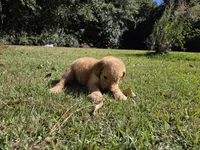 processed/906c01de-222c-4422-9d58-689c3db37b38/listing/13a4eee9-5eae-41e8-adb5-d0ceb69df9de/56146590-eb2c-4a8a-a6dc-f9931e532608