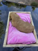 processed/906c01de-222c-4422-9d58-689c3db37b38/listing/13a4eee9-5eae-41e8-adb5-d0ceb69df9de/6388d851-7e10-4692-bd63-d89f77d40b52