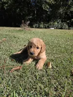 processed/906c01de-222c-4422-9d58-689c3db37b38/listing/13a4eee9-5eae-41e8-adb5-d0ceb69df9de/918b1b3f-4a91-4c73-820b-4c36ba0616d8