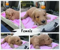 processed/906c01de-222c-4422-9d58-689c3db37b38/listing/13a4eee9-5eae-41e8-adb5-d0ceb69df9de/947fc6f7-dbc7-4d6c-ad55-8fe93dfca685