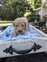 processed/906c01de-222c-4422-9d58-689c3db37b38/listing/ab2b1ea5-6666-4a74-9a08-60d18d2abe0e/3038a03d-1eec-435c-a581-bb3b16654dbf