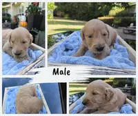 processed/906c01de-222c-4422-9d58-689c3db37b38/listing/ab2b1ea5-6666-4a74-9a08-60d18d2abe0e/8e947c57-5b25-43f4-8f9c-52e2c23cb399