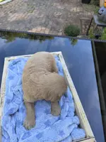 processed/906c01de-222c-4422-9d58-689c3db37b38/listing/ab2b1ea5-6666-4a74-9a08-60d18d2abe0e/9986f206-1b6a-42cd-a5eb-17e6ae14c7f0