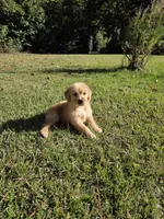 processed/906c01de-222c-4422-9d58-689c3db37b38/listing/ab2b1ea5-6666-4a74-9a08-60d18d2abe0e/dc0358b7-f85c-48b9-8f3e-c3437463efc3