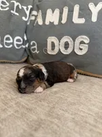 processed/906c4b54-205c-4102-b1df-a2e2426b7f7f/listing/6fa8f5e4-91db-4dd4-86da-367f9628065f/91cdd2a4-dde5-455f-a3cf-53d7d0ca63e5