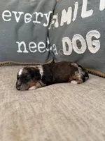 processed/906c4b54-205c-4102-b1df-a2e2426b7f7f/listing/6fa8f5e4-91db-4dd4-86da-367f9628065f/c6135c35-0818-4d7f-99ab-3dc8fa0d2458