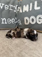 processed/906c4b54-205c-4102-b1df-a2e2426b7f7f/listing/6fa8f5e4-91db-4dd4-86da-367f9628065f/db3ed3c7-6601-4982-a44e-6a292014ccac