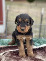 processed/9075fafe-3590-4e21-b64e-f17066059c3a/listing/50d1fd47-2525-49ed-943c-e3ea5293aaff/034f6859-0d23-41dd-8d92-2c8b6d404673