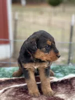 processed/9075fafe-3590-4e21-b64e-f17066059c3a/listing/50d1fd47-2525-49ed-943c-e3ea5293aaff/159b8941-9eec-4d1f-97c9-b4957f77c333