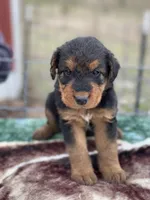 processed/9075fafe-3590-4e21-b64e-f17066059c3a/listing/50d1fd47-2525-49ed-943c-e3ea5293aaff/81fe2167-42a5-48e5-9794-64861ba98c08