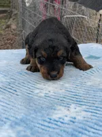 processed/9075fafe-3590-4e21-b64e-f17066059c3a/listing/50d1fd47-2525-49ed-943c-e3ea5293aaff/9e7eddc5-20ad-49ed-8e07-81a565caa3e6