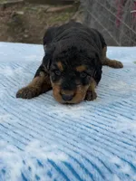 processed/9075fafe-3590-4e21-b64e-f17066059c3a/listing/50d1fd47-2525-49ed-943c-e3ea5293aaff/bcfbecd5-79f7-4e04-8b82-42821618141d