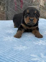 processed/9075fafe-3590-4e21-b64e-f17066059c3a/listing/c8e5d78a-7f28-4702-b3ec-251952d5bc1f/10408116-1172-4d46-ad55-f8ce079a755d