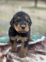 processed/9075fafe-3590-4e21-b64e-f17066059c3a/listing/c8e5d78a-7f28-4702-b3ec-251952d5bc1f/333f4034-fd22-43ec-9a08-5fa1b11913af