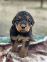 processed/9075fafe-3590-4e21-b64e-f17066059c3a/listing/c8e5d78a-7f28-4702-b3ec-251952d5bc1f/af4d5e3b-23a9-4955-b9d7-2105cd0fa631