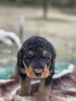 processed/9075fafe-3590-4e21-b64e-f17066059c3a/listing/c8e5d78a-7f28-4702-b3ec-251952d5bc1f/ca1a5d17-2242-4b4e-b062-bc32a4b9d01b