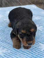 processed/9075fafe-3590-4e21-b64e-f17066059c3a/listing/c8e5d78a-7f28-4702-b3ec-251952d5bc1f/d3ef0c40-9de8-496c-af9f-8e27e6e4a3ba