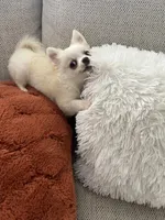 processed/907bd09a-7f43-4241-b0c9-fc3ab43a14c9/listing/2b46bc05-4eca-48db-8b2a-4e78389404c1/1b5db378-5bfd-4e7c-9b50-e3c9c4bd1f0b