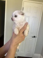 processed/907bd09a-7f43-4241-b0c9-fc3ab43a14c9/listing/2b46bc05-4eca-48db-8b2a-4e78389404c1/1b8c2908-364a-49ef-8fa1-1b84c785cf80