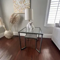 Charlie, a male Chihuahua for sale in Riverside, CA – Photo 2 of 10