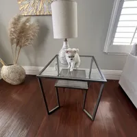 Charlie, a male Chihuahua for sale in Riverside, CA – Photo 5 of 10