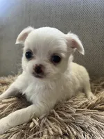 processed/907bd09a-7f43-4241-b0c9-fc3ab43a14c9/listing/2b46bc05-4eca-48db-8b2a-4e78389404c1/ba55de18-60a0-4eb1-a6ab-07c33e04cc60