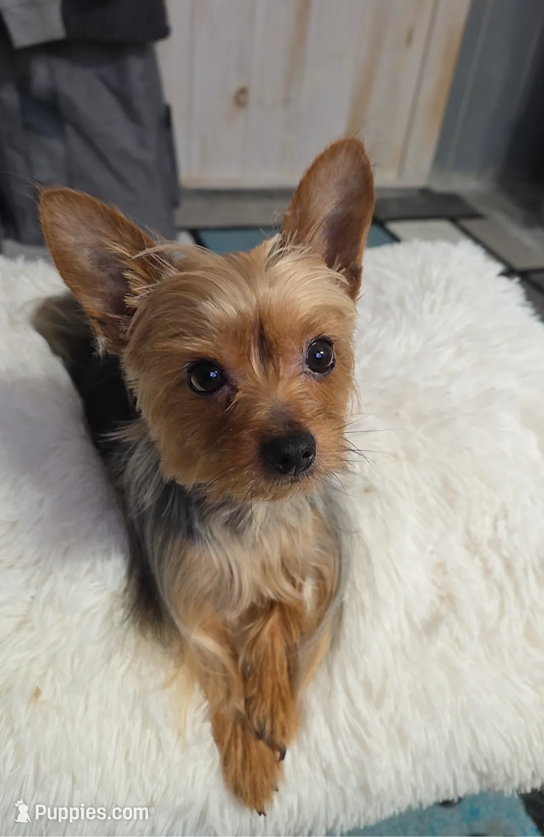 processed/9089f357-1a41-464c-bb67-ca6ac841d62c/listing/9777fcbb-6a7d-4998-84a0-b257a9b2676c/3634cbd3-bb55-4987-bbe7-51fae65f38bb