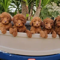 processed/90a623c6-4980-4867-baba-bff2a9e39651/facility/03f79529-5fb5-4110-aec7-ef4cfe7a1f5d