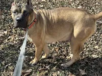 processed/90ac1ca7-c456-439e-a458-c04ed3ea9095/facility/2cdbc03e-d07b-4e08-9cb3-2df55aa5199e