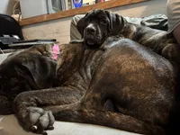 processed/90ac1ca7-c456-439e-a458-c04ed3ea9095/facility/533a3509-20f0-4ea1-86f9-d080346452bd