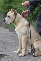 processed/90ac1ca7-c456-439e-a458-c04ed3ea9095/facility/53643534-9fa8-49c0-af71-394ed1293de3