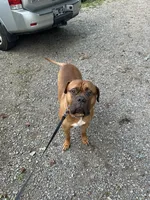 processed/90ac1ca7-c456-439e-a458-c04ed3ea9095/facility/94a6fc94-6fac-4e4e-b45d-31d66702e26d