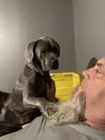 processed/90ac1ca7-c456-439e-a458-c04ed3ea9095/facility/ee2edbe5-acf6-4407-bb72-575022cc3f55