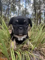 processed/90b6d6bb-5ddb-4ce6-936a-72d47367219d/facility/1d25dd45-afa6-491d-9fde-7674c8da4289