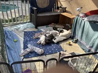 processed/90b6d6bb-5ddb-4ce6-936a-72d47367219d/facility/5a68571d-a6b7-43cd-9ddf-0f1f9cba7b28