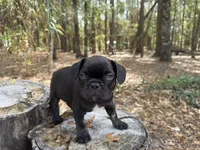 processed/90b6d6bb-5ddb-4ce6-936a-72d47367219d/facility/8050521e-65e0-44cf-94f2-9dfe1cd83c34