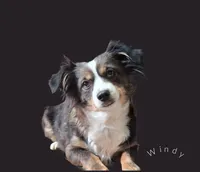 processed/90b7f225-f984-4590-8cde-0cc1cba4ded4/listing/1feabd87-3c87-4058-8800-b15c91d30e8b/136e8825-adf1-47af-99cc-d1ff6db4f1ac