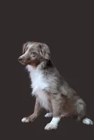 processed/90b7f225-f984-4590-8cde-0cc1cba4ded4/listing/1feabd87-3c87-4058-8800-b15c91d30e8b/526bba4e-a1c2-4aa8-88af-1aaed02c4760